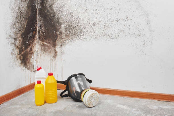 Trusted Madera Acres, CA Mold Remediation Experts